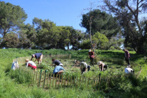 A nine-person landscaping team garden inside a fenced-off enclosed area within a larger hillside meadow.